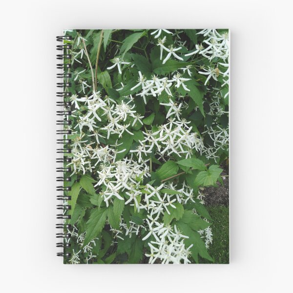 Item preview, This white clematis is as romantic as the starry sky designed and sold by Raigitam.