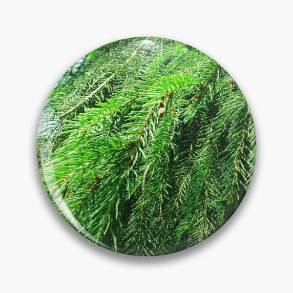 Item preview, Fir tree photo | nature fir tree photography designed and sold by lausn.