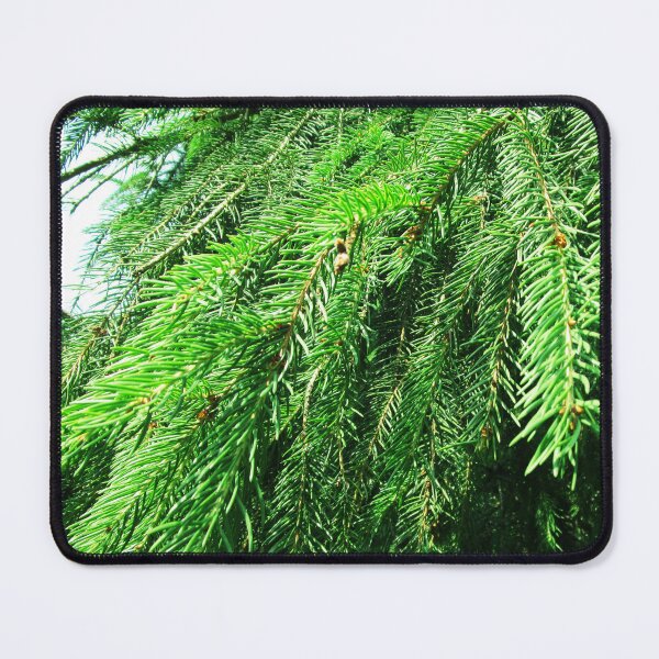 Item preview, Fir tree photo | nature fir tree photography designed and sold by lausn.