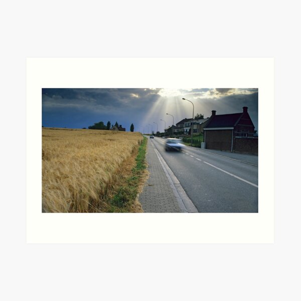 Movements Art Print