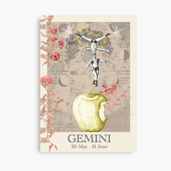 Gemini zodiac sign Canvas Print