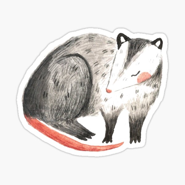 Item preview, Opossum Friend designed and sold by Ash-Elizabeth.