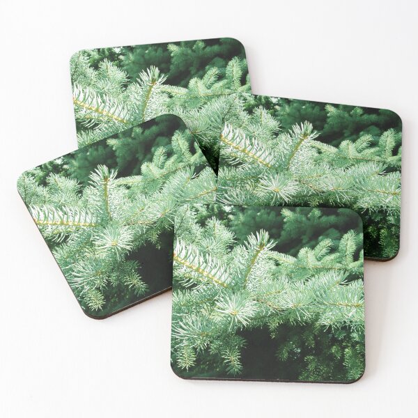 Item preview, Blue fir tree photo | nature fir tree photography designed and sold by lausn.