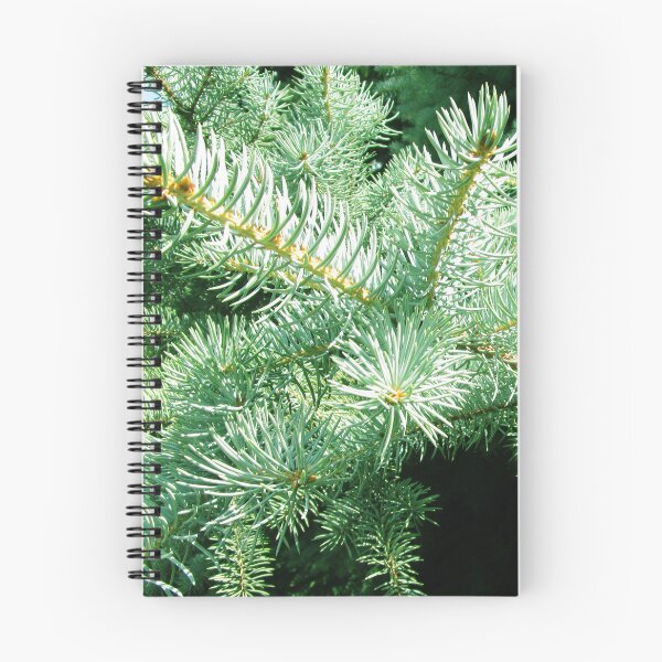 Item preview, Blue fir tree photo | nature fir tree photography designed and sold by lausn.