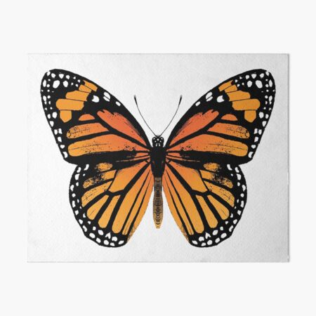 Monarch Butterfly | Vintage Butterflies | Art Board Print
