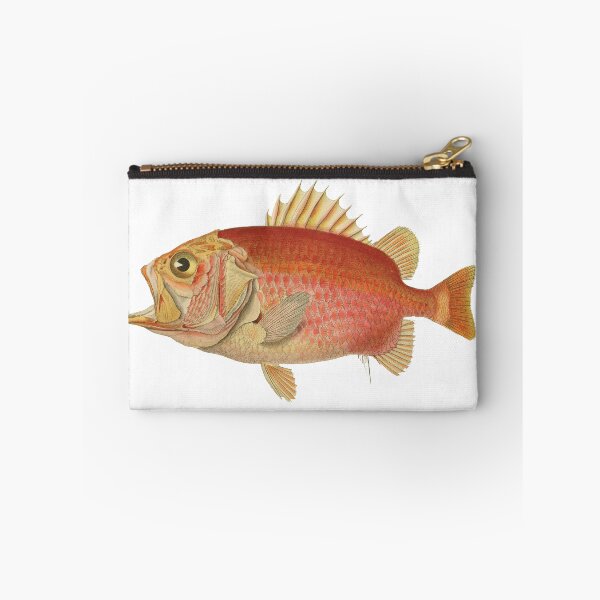 Item preview, Vintage Art: Straighthead Soldierfish  designed and sold by JacobPloesser.