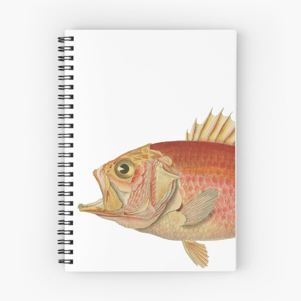Item preview, Vintage Art: Straighthead Soldierfish  designed and sold by JacobPloesser.