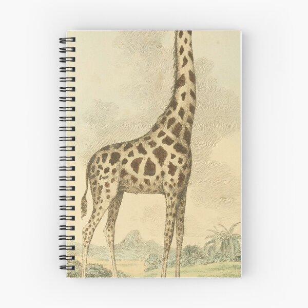 Item preview, Vintage Art: Giraffe Head Sticking Out designed and sold by JacobPloesser.
