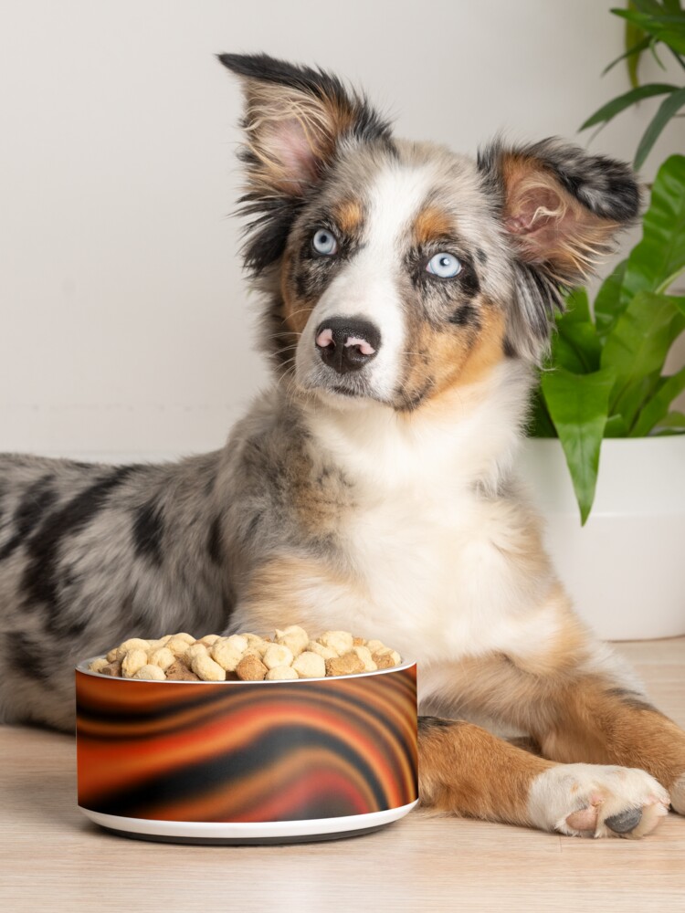 Copper Pet Bowl