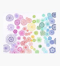 roygbiv Photographic Print