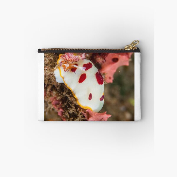 Item preview, Goniobranchus splendidus with hitchhiker designed and sold by Deb Aston.