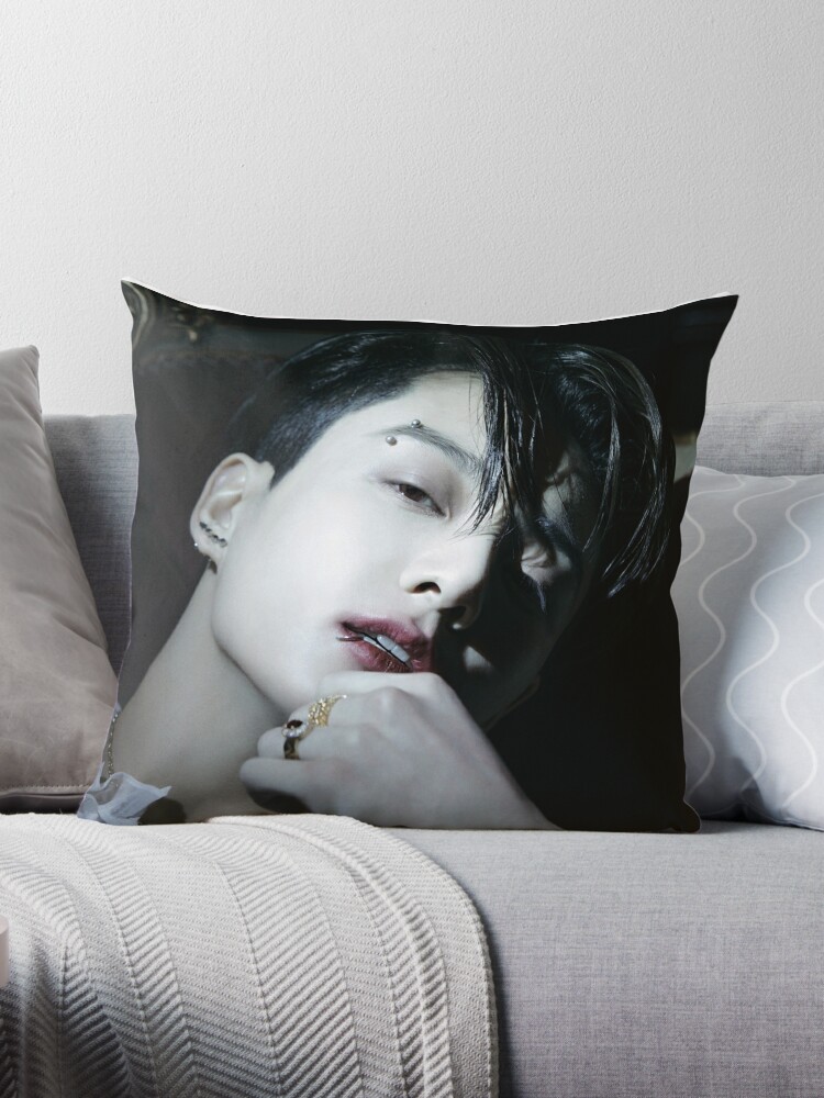 https://ih1.redbubble.net/image.4147419627.7262/throwpillow,large,750x1000-bg,f8f8f8.u1.jpg