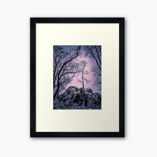 Winter Trees - Magical winter trees in the Palatinate Forest #3 Framed Art Print