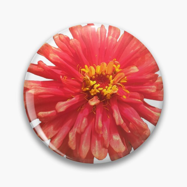 Item preview, Zinnia Red designed and sold by Floral-Art.