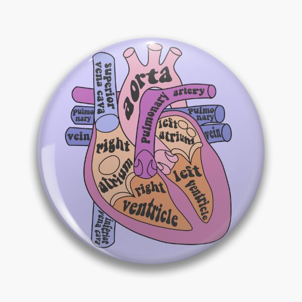 Item preview, Anatomical heart  designed and sold by Preslava Genova.
