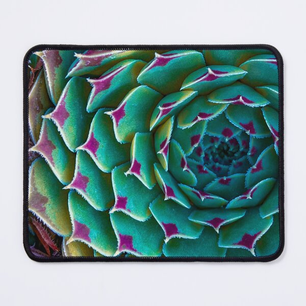 Item preview, Sempervivum calcareum designed and sold by CiaoBellaJenny.