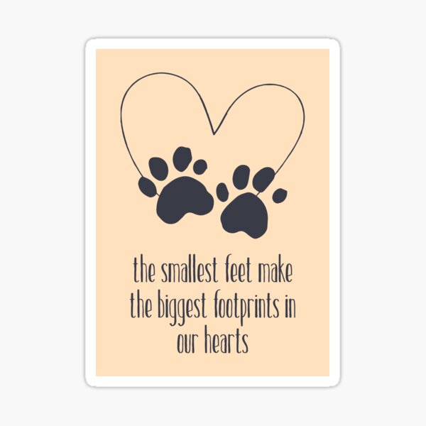 53 Thoughtful Sympathy Messages For The Loss Of A Pet 52 OFF