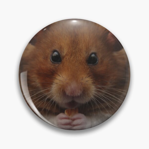 Item preview, STARING HAMSTERS designed and sold by KatisDesign.