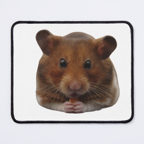 Item preview, STARING HAMSTERS designed and sold by KatisDesign.