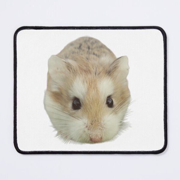 Item preview, STARING HAMSTERS designed and sold by KatisDesign.