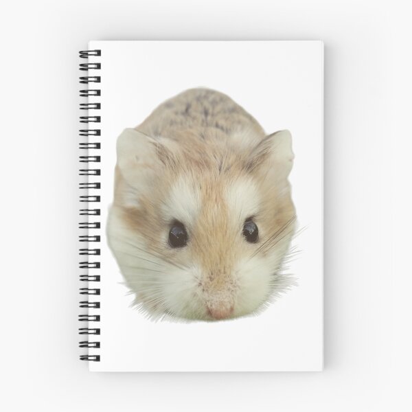 Aperçu de l'œuvre DÉGARDER LES HAMSTERS créée et vendue par KatisDesign.