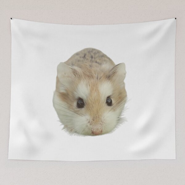 Item preview, STARING HAMSTERS designed and sold by KatisDesign.
