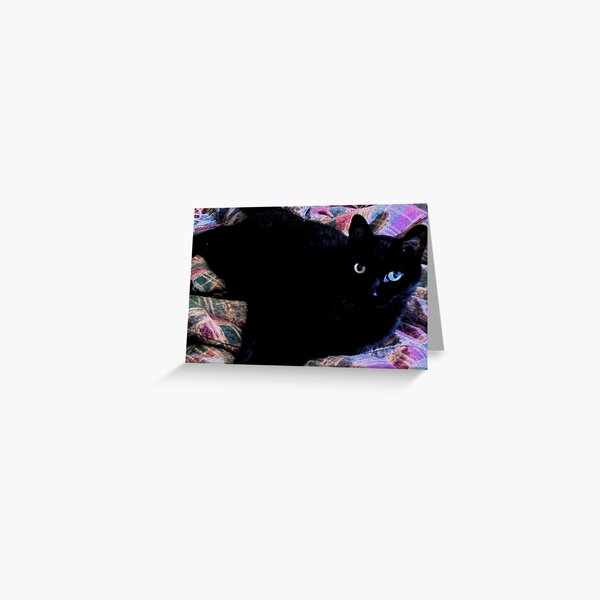 Old Friend Greeting Card