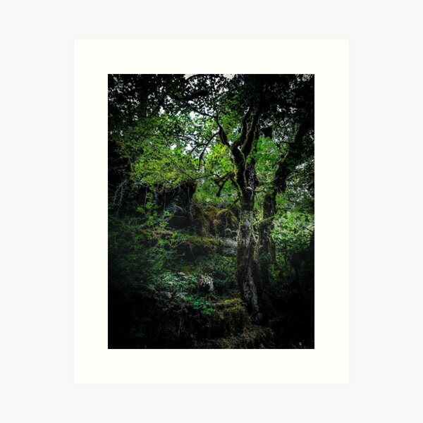 Green Woods - Magical enchanted forest at Burg Eltz #1 Art Print