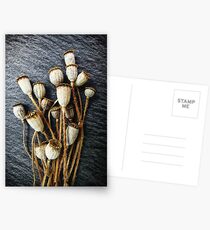 Pods Postcards