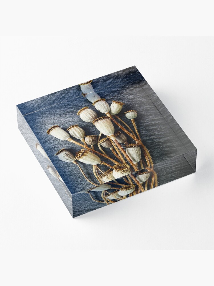 Alternate view of Pods Acrylic Block