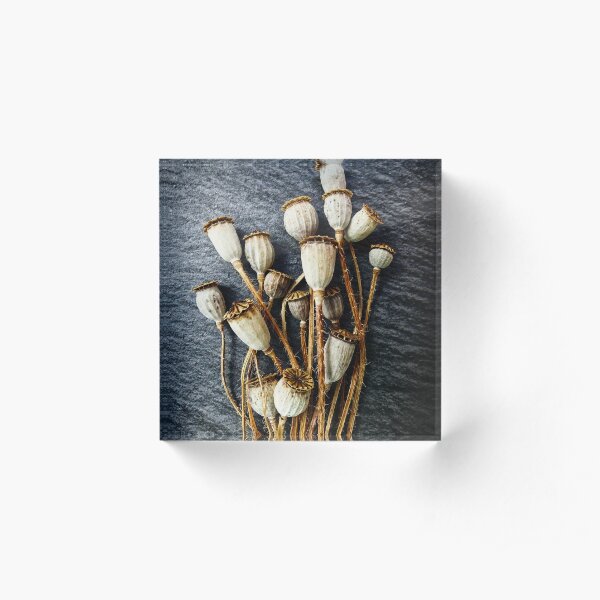 Pods Acrylic Block