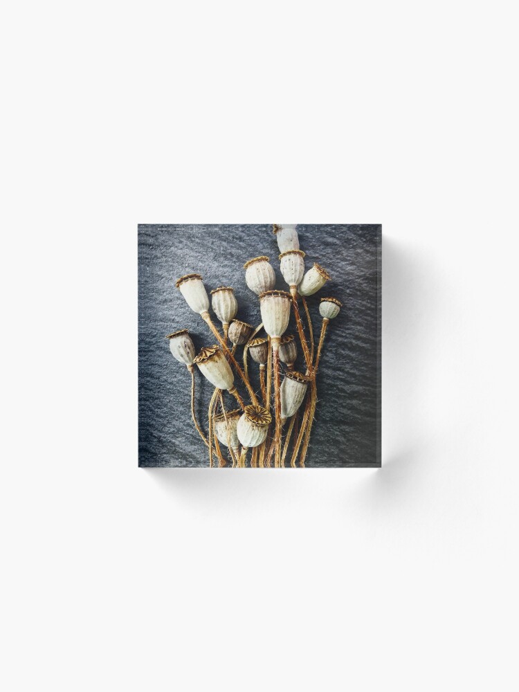 Alternate view of Pods Acrylic Block