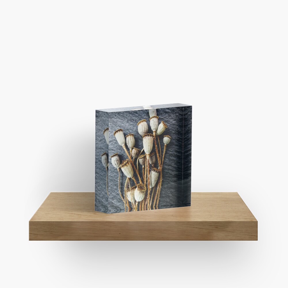 Pods Acrylic Block