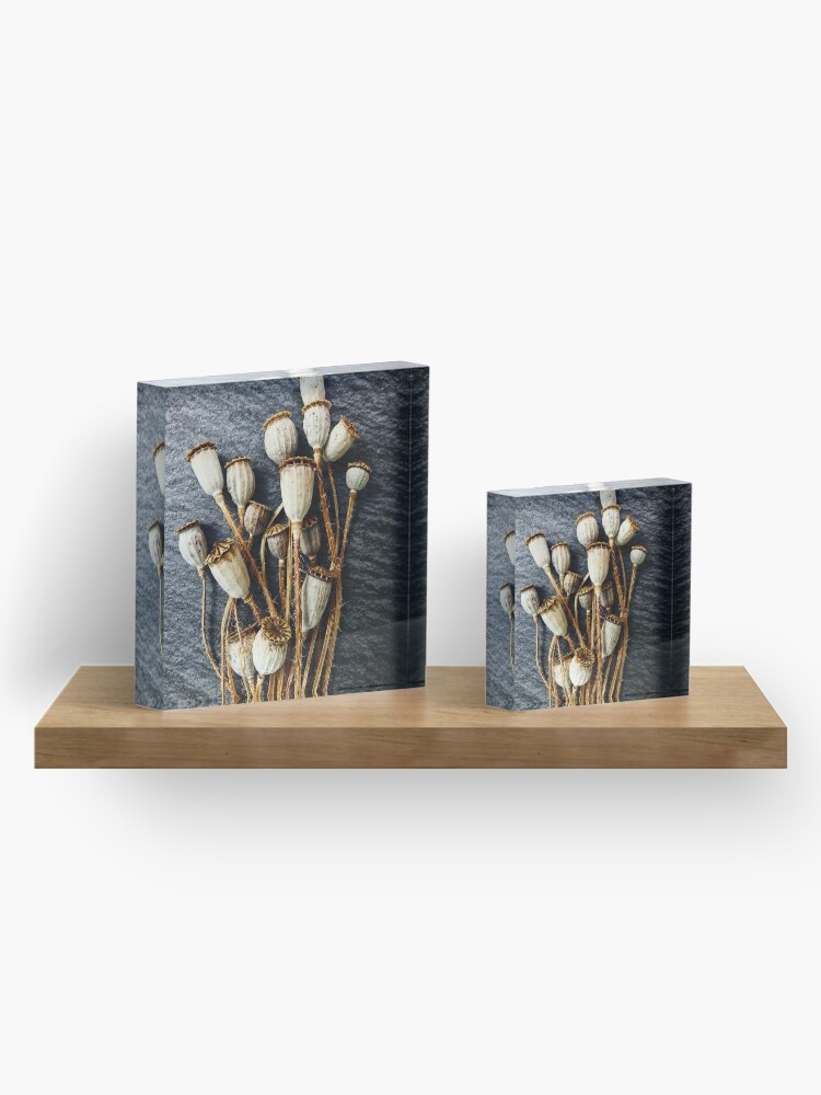 Alternate view of Pods Acrylic Block