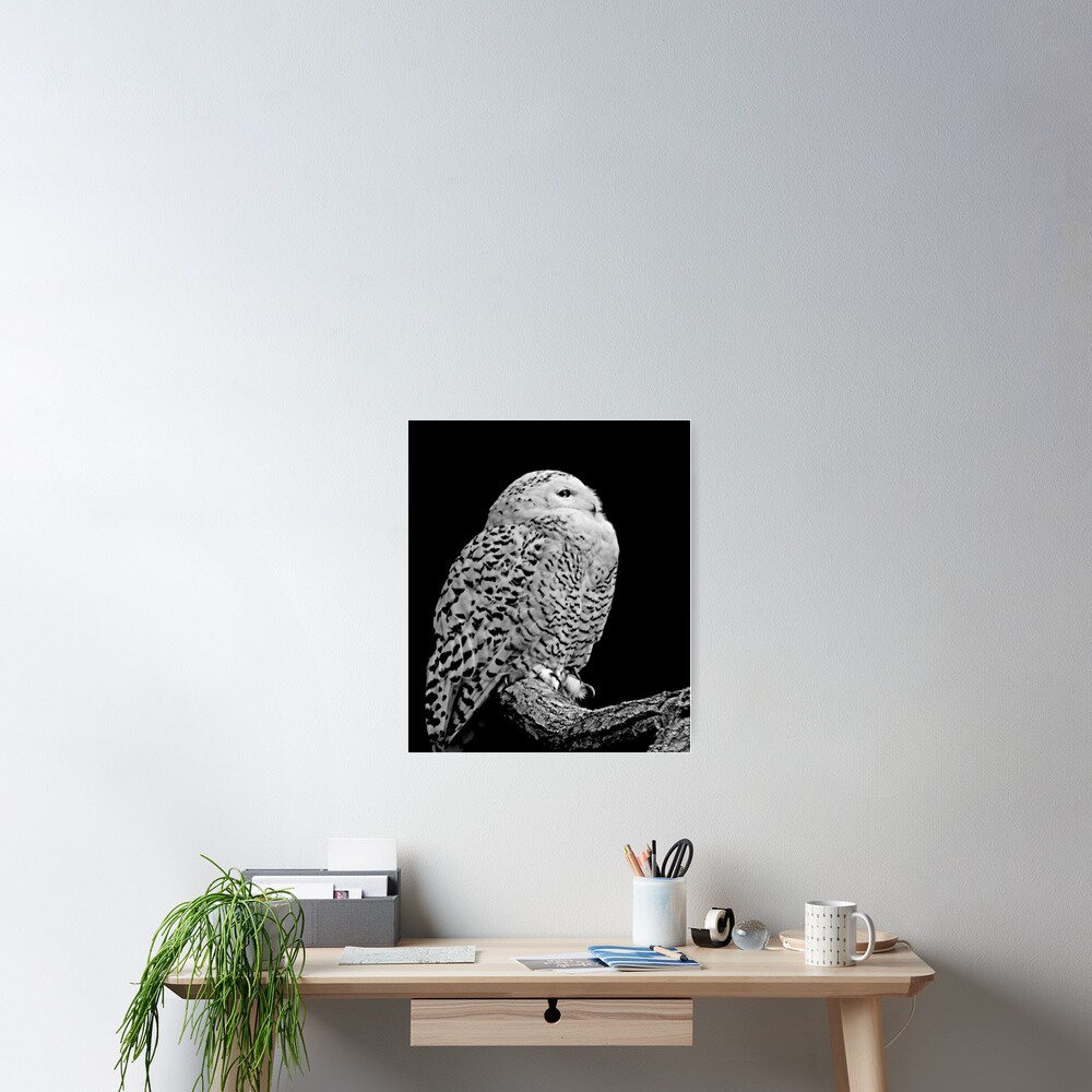 Item preview, Poster designed and sold by ScenicViewPics.