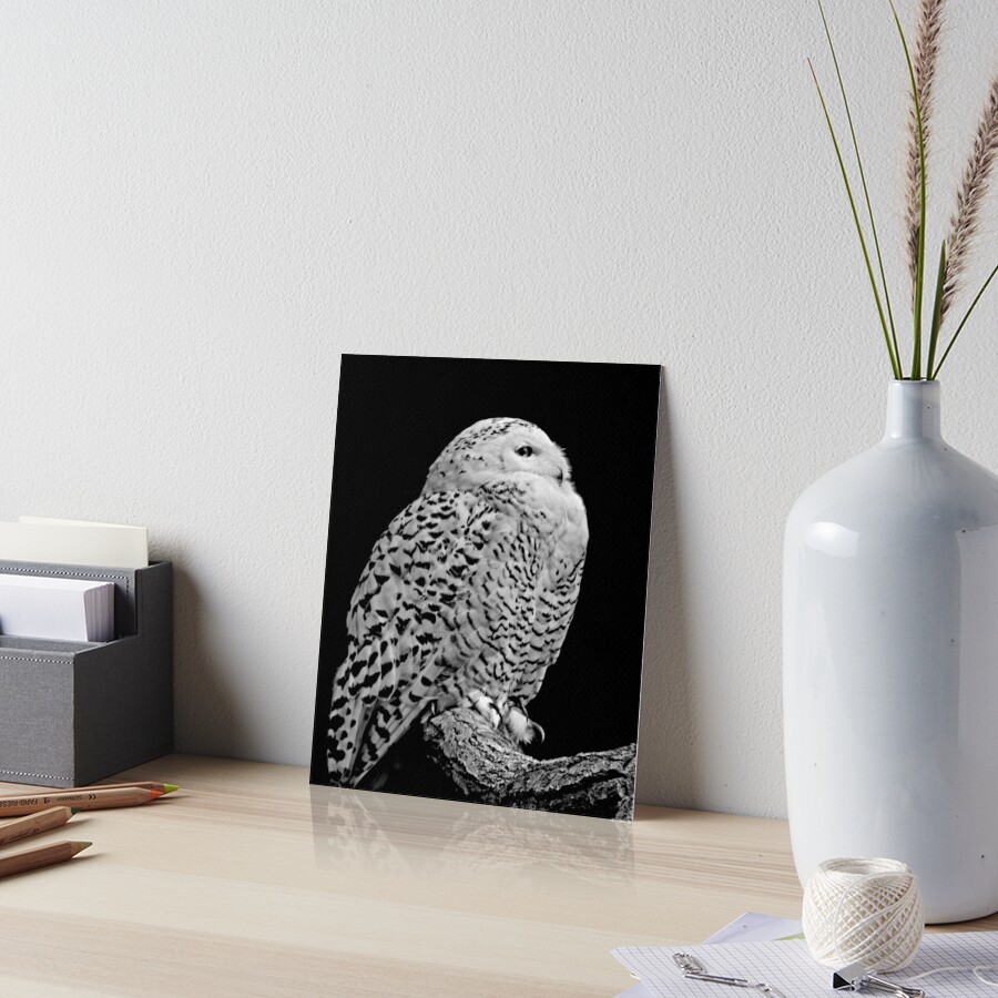 Item preview, Art Board Print designed and sold by ScenicViewPics.