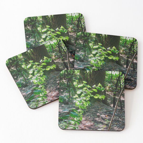 Item preview, Sunlit Trees designed and sold by Shulie1.