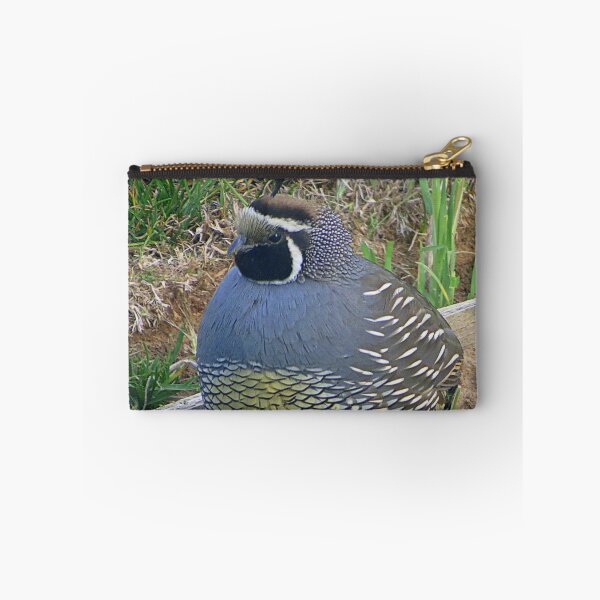 Item preview, Fluffy Quail designed and sold by Diane Arndt.