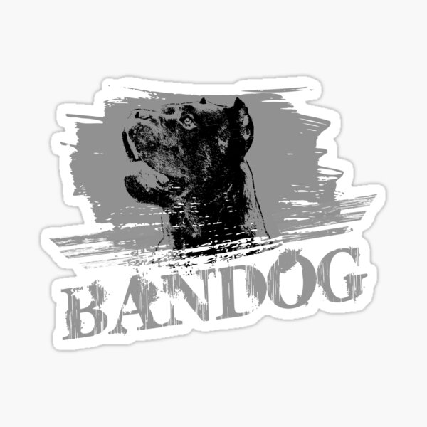 American bandogge hot sale for sale