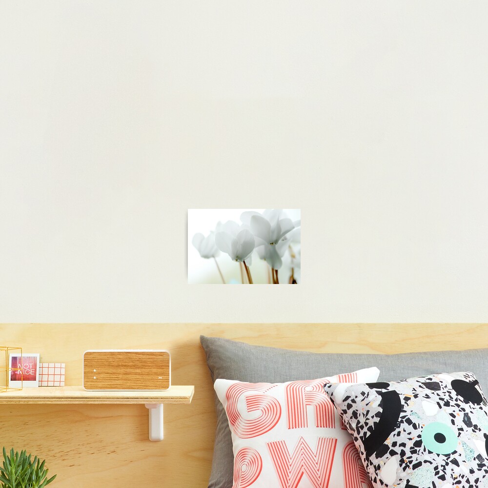 Item preview, Photographic Print designed and sold by AboveSeeLevel.