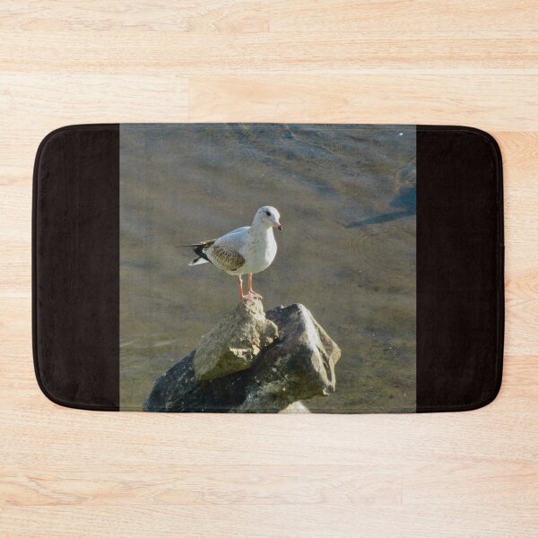 Item preview, Seagull on the rocks designed and sold by Shulie1.