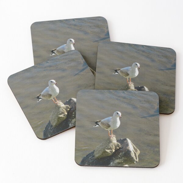 Item preview, Seagull on the rocks designed and sold by Shulie1.