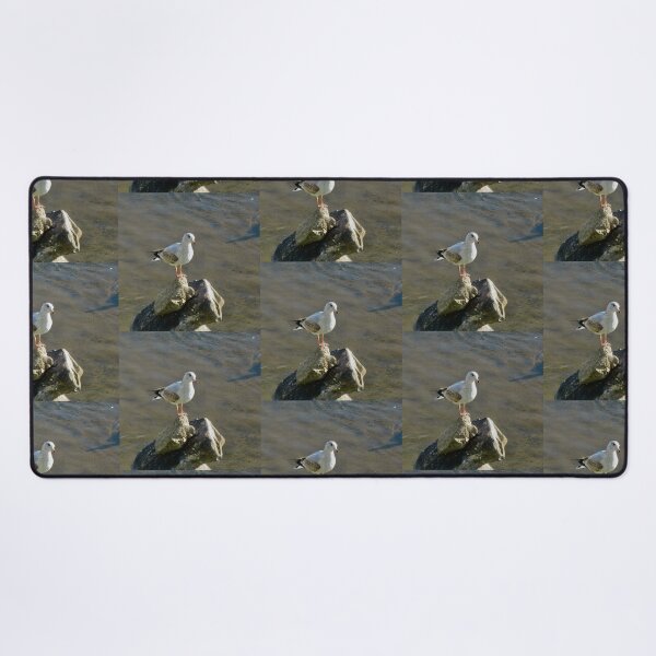 Item preview, Seagull on the rocks designed and sold by Shulie1.