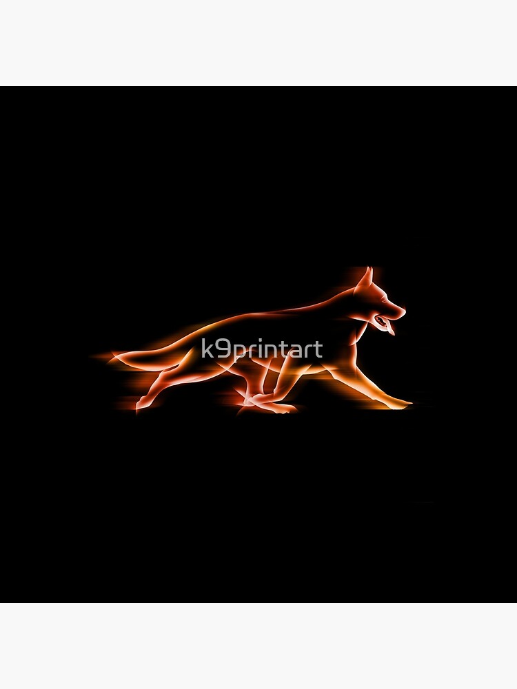 German Shepherd poetry in motion