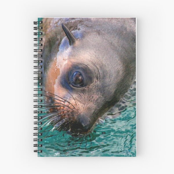 Item preview, Sea Lion Around designed and sold by Re:Creation  Images.