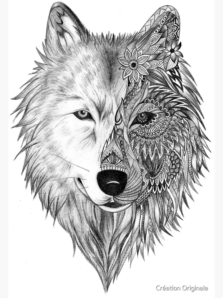 Gray wolf Drawing, howling wolf, mammal, carnivoran, dog Like Mammal png |  PNGWing