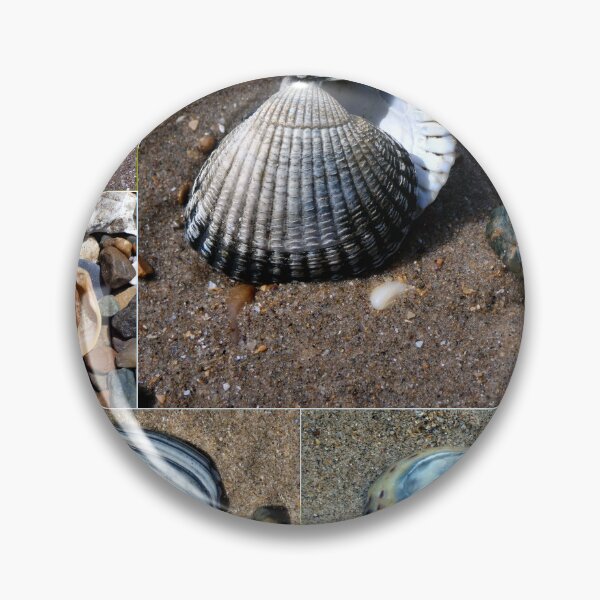 Item preview, shells designed and sold by KathleenDawson.