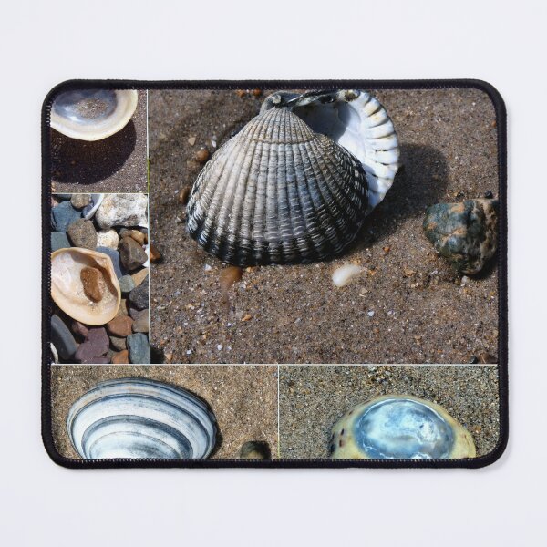 Item preview, shells designed and sold by KathleenDawson.