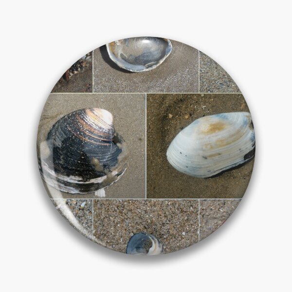 Item preview, shells designed and sold by KathleenDawson.