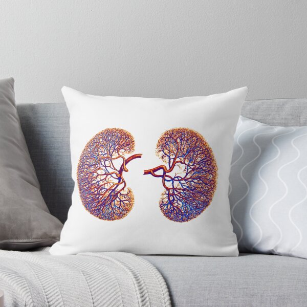 Item preview, Nephrology Kidney Kidney Medicine designed and sold by Babytopia.